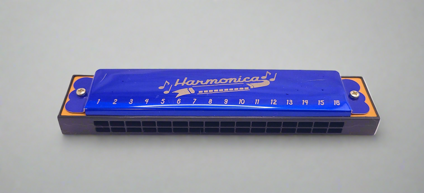 Harmonica Bit Gag