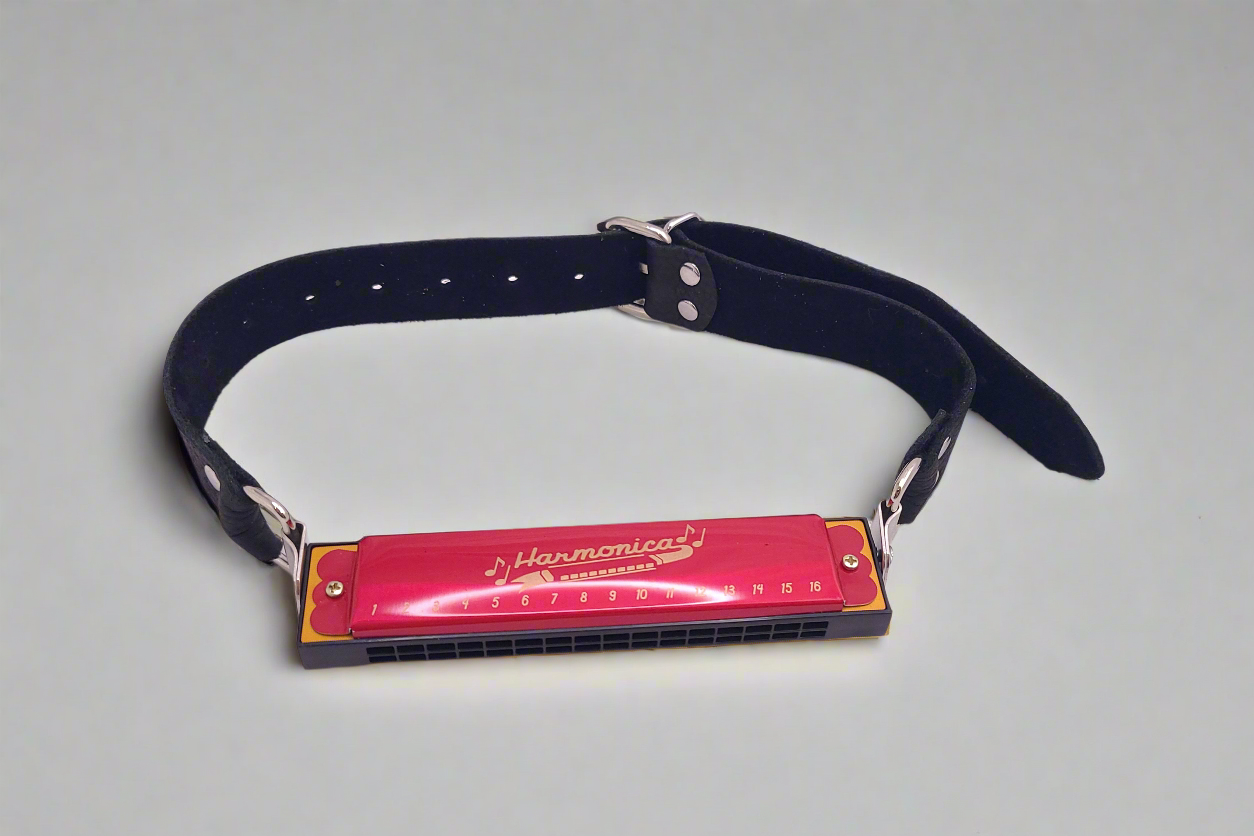 Harmonica Bit Gag
