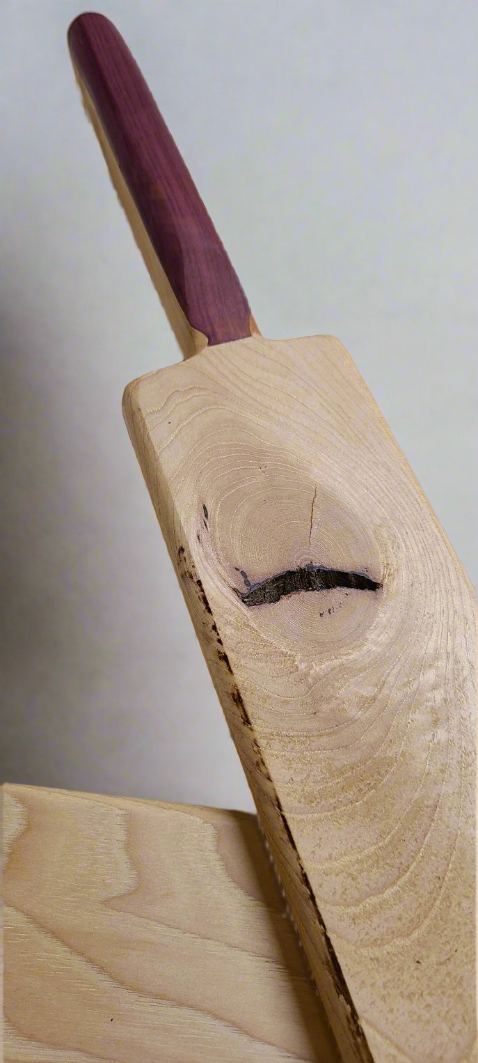 Disciplinary Paddle